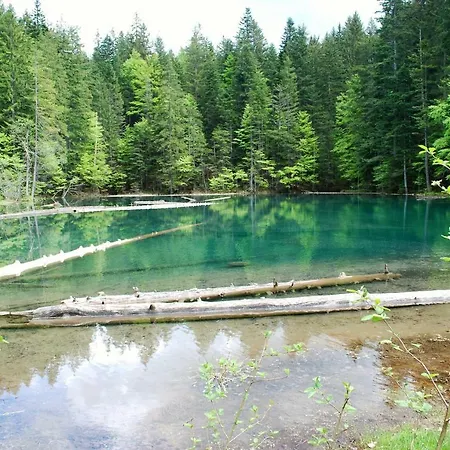 Nassfeld Sonnleitn Silvia Apartamento